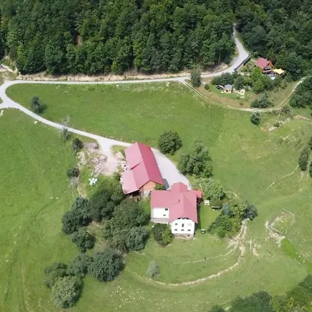 Turizem Grasic~gradisnik