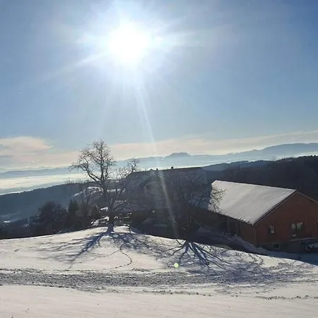 Turizem Grasic~gradisnik Alojamento de Turismo Rural Zgornje Hoce